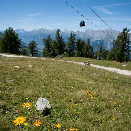 Diablerets D 010 -mountain 6 Pers Veysonnaz